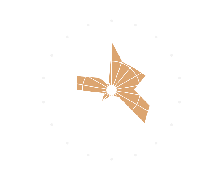 Araña de percepciones
