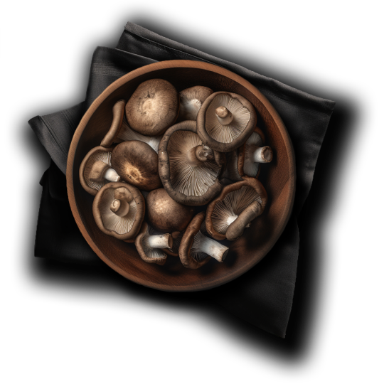 img-pairing-mushrooms-es.png