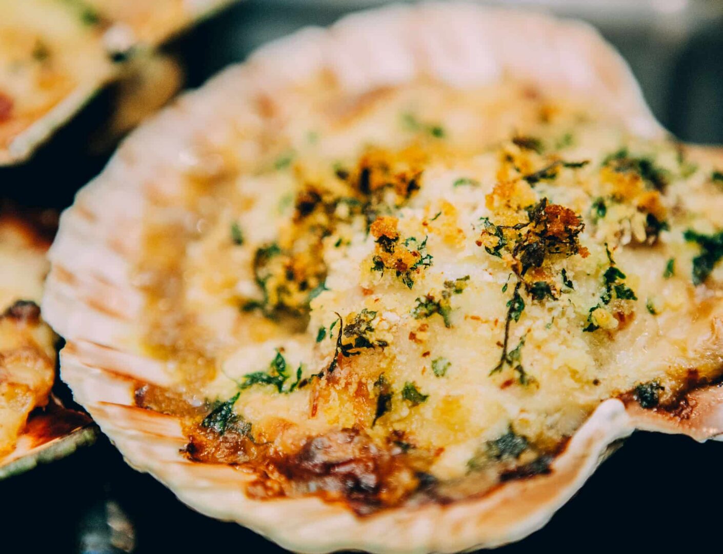 Scallop and Serrano Ham Gratin (Served in the Shell) Recipe Estrella
